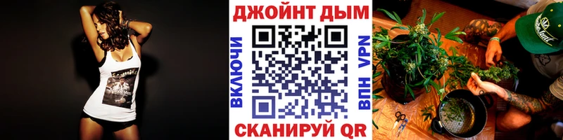 Бошки Шишки план  Хвалынск 